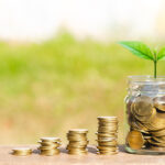 Tontine et gestion de patrimoine