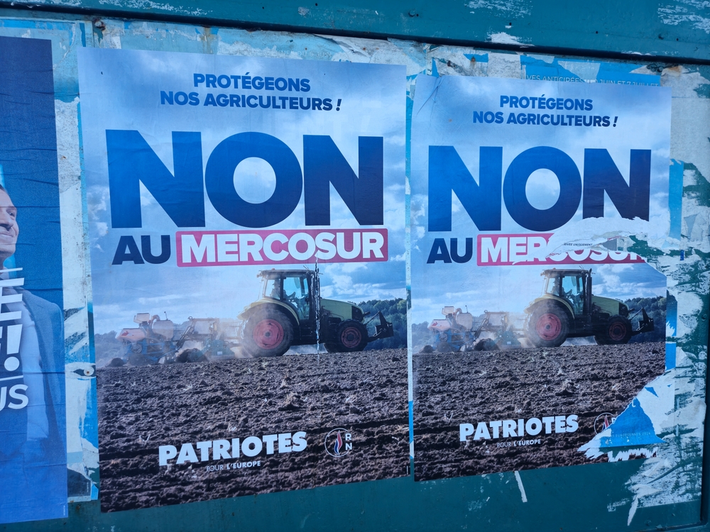 Analyse de la progression du Rassemblement national en France, un mouvement qui redéfinit le paysage politique et révèle les fractures sociales du pays.