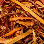 Illustration représentant l’évaluation par la Commission européenne du système des droits d’obtention végétale et la consultation publique ouverte aux acteurs du secteur.