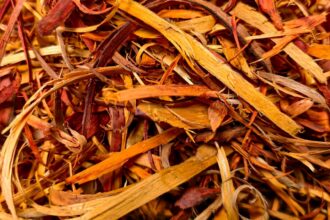 Illustration représentant l’évaluation par la Commission européenne du système des droits d’obtention végétale et la consultation publique ouverte aux acteurs du secteur.