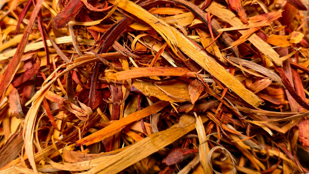 Illustration représentant l’évaluation par la Commission européenne du système des droits d’obtention végétale et la consultation publique ouverte aux acteurs du secteur.