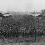 Analyse de la montée des extrêmes en France à travers le recyclage de symboles politiques hérités des heures sombres et du régime de Vichy.