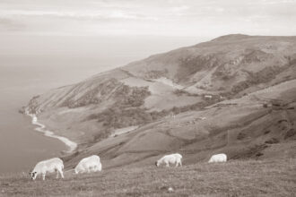 Découvrez Sheep’s Head, péninsule sauvage du comté de Cork, entre falaises, sentiers côtiers et villages chaleureux, un joyau préservé pour les marcheurs.