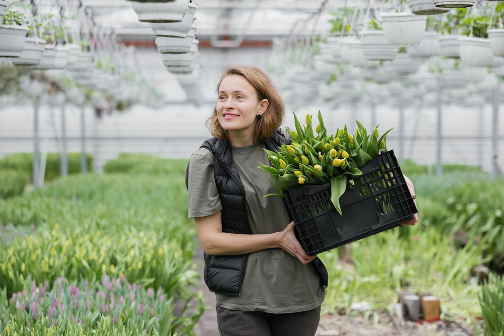 Schéma comparant un modèle centralisé de régulation et une organisation coopérative appliqués à l’encadrement d’établissements réglementés