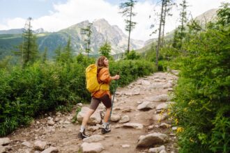 Randonneurs parcourant un sentier estival en France, au cœur de paysages naturels variés entre montagnes, littoral et forêts.