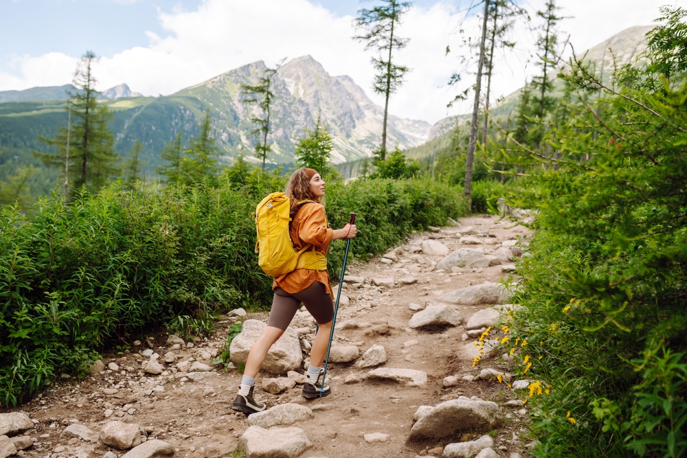 Randonneurs parcourant un sentier estival en France, au cœur de paysages naturels variés entre montagnes, littoral et forêts.