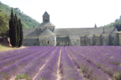 Ancien corps de ferme rural en France illustrant la difficulté de vente sur le marché immobilier.
