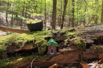 Illustration d’un lutin traditionnel, petite créature liée aux anciennes divinités de la nature et aux génies domestiques des croyances européennes.