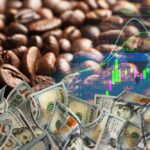 Plantation de caféiers dans les Hauts-Plateaux du Vietnam, illustrant la production de robusta et les enjeux de durabilité du secteur caféier