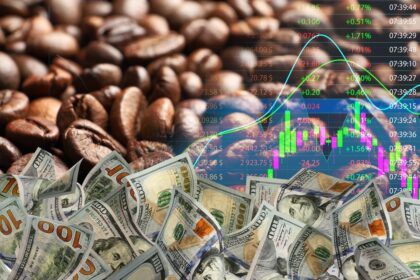 Plantation de caféiers dans les Hauts-Plateaux du Vietnam, illustrant la production de robusta et les enjeux de durabilité du secteur caféier