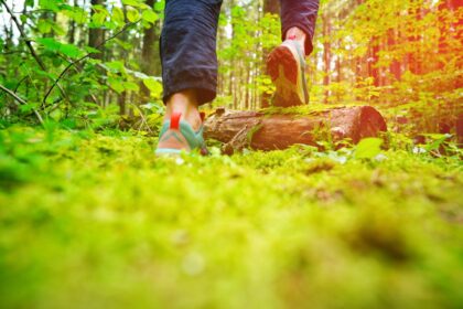 Chaussures de randonnée posées sur un chemin de montagne, illustrant le choix du bon équipement pour voyager sur les sentiers.