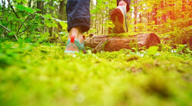 Chaussures de randonnée posées sur un chemin de montagne, illustrant le choix du bon équipement pour voyager sur les sentiers.