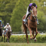 Hippodrome français avec chevaux en course, illustrant la crise économique et institutionnelle qui touche le PMU et la filière hippique.