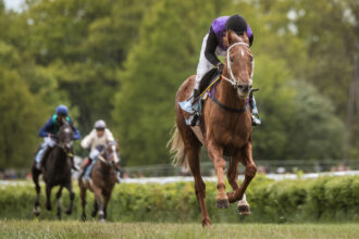Hippodrome français avec chevaux en course, illustrant la crise économique et institutionnelle qui touche le PMU et la filière hippique.