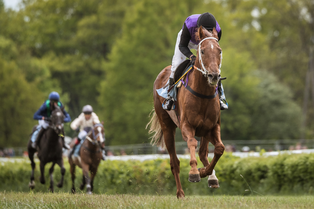 Hippodrome français avec chevaux en course, illustrant la crise économique et institutionnelle qui touche le PMU et la filière hippique.