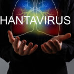Le navire de croisière MV Hondius, au centre d’une enquête de l’OMS après plusieurs cas d’infection à hantavirus liés au virus Andes.