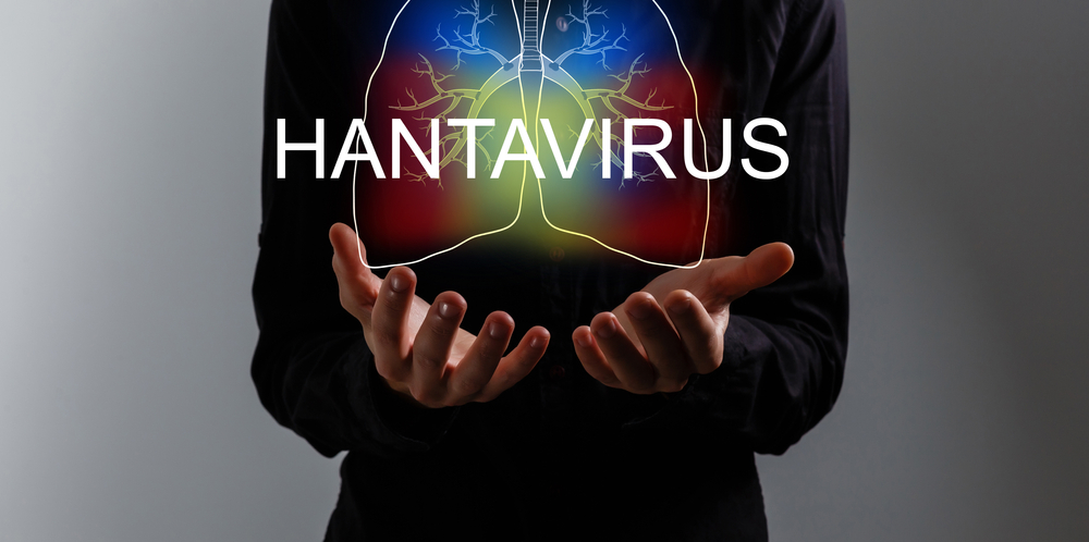 Le navire de croisière MV Hondius, au centre d’une enquête de l’OMS après plusieurs cas d’infection à hantavirus liés au virus Andes.