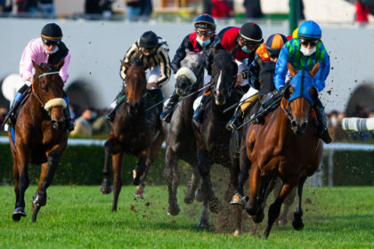 Chevaux au départ d’une course sur un hippodrome français, illustrant la crise économique et institutionnelle qui touche la filière hippique.