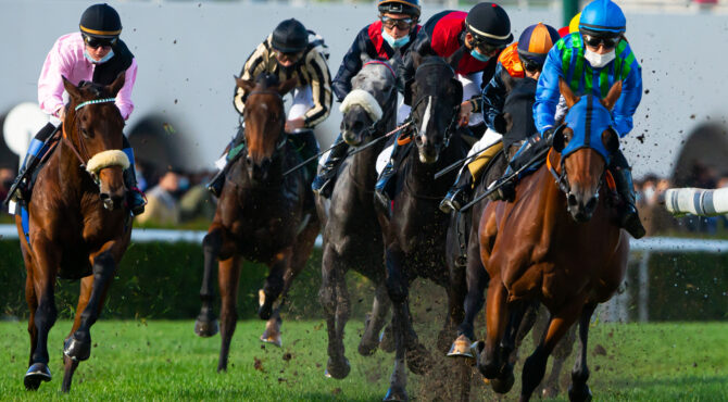 Chevaux au départ d’une course sur un hippodrome français, illustrant la crise économique et institutionnelle qui touche la filière hippique.