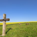 Découvrez les origines pré‑chrétiennes de Chartres : un lieu sacré ancien, entre traditions celtiques, source rituelle et continuité du sacré jusqu’à la cathédrale.