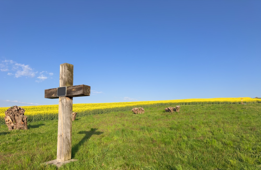 Découvrez les origines pré‑chrétiennes de Chartres : un lieu sacré ancien, entre traditions celtiques, source rituelle et continuité du sacré jusqu’à la cathédrale.