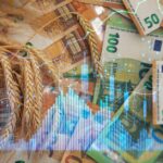 Céréales : l'alerte rouge sur la crise alimentaire mondiale