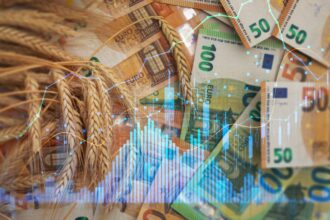 Céréales : l'alerte rouge sur la crise alimentaire mondiale