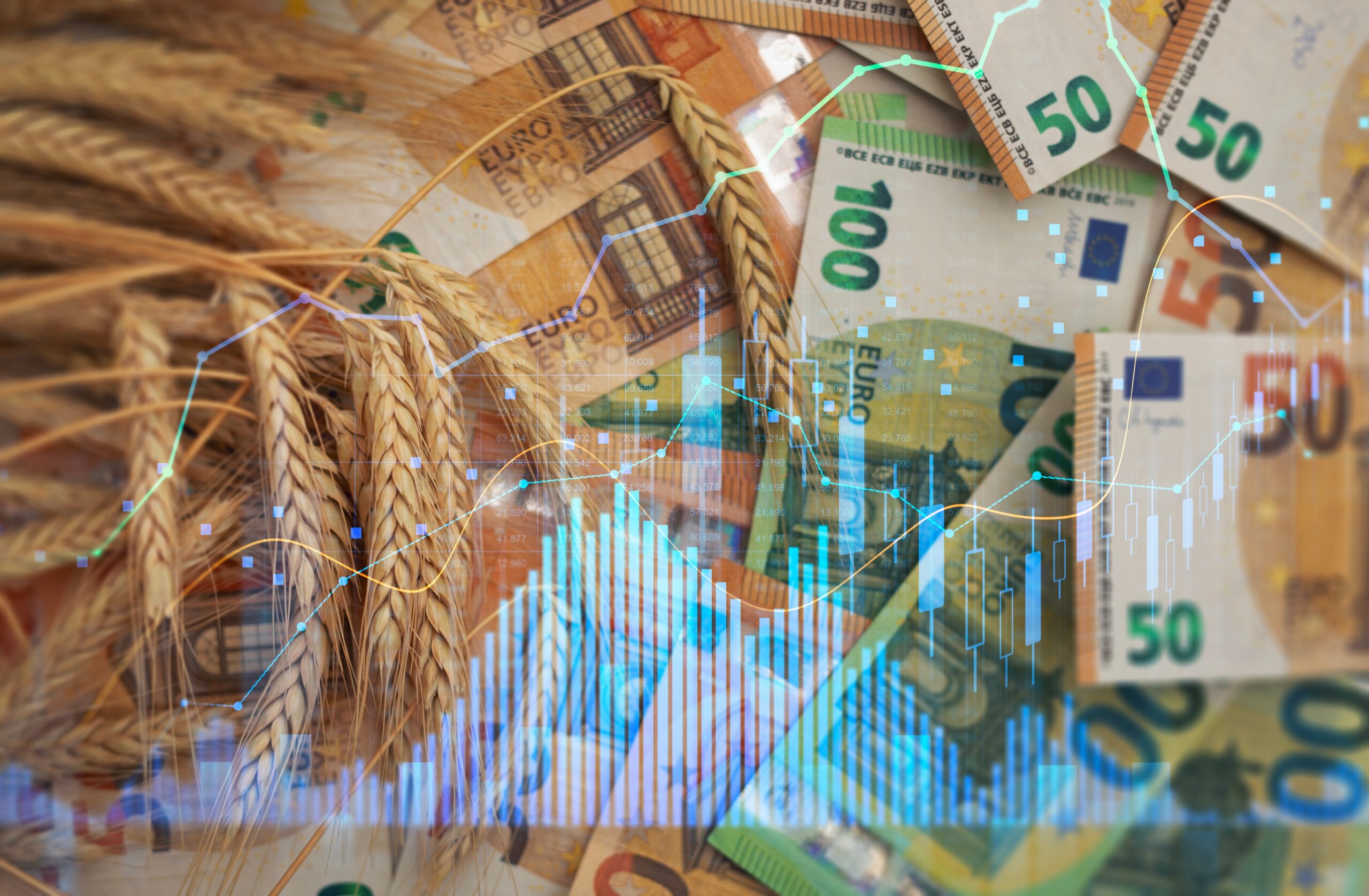 Céréales : l'alerte rouge sur la crise alimentaire mondiale
