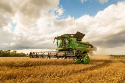 Pluies extrêmes et sécheresses menacent les producteurs de blé britanniques. Face au changement climatique, l'adaptation par l'irrigation et de nouvelles variétés est urgente.