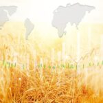 Consommation : Qu'est-ce que la heatflation?