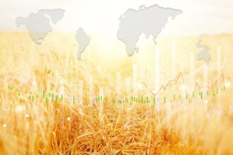 Consommation : Qu'est-ce que la heatflation?