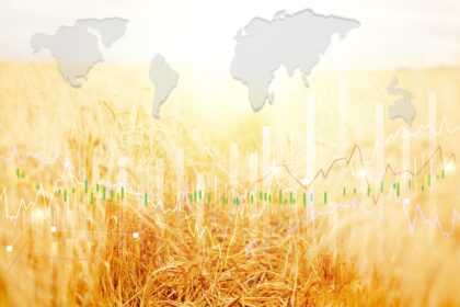 Consommation : Qu'est-ce que la heatflation?