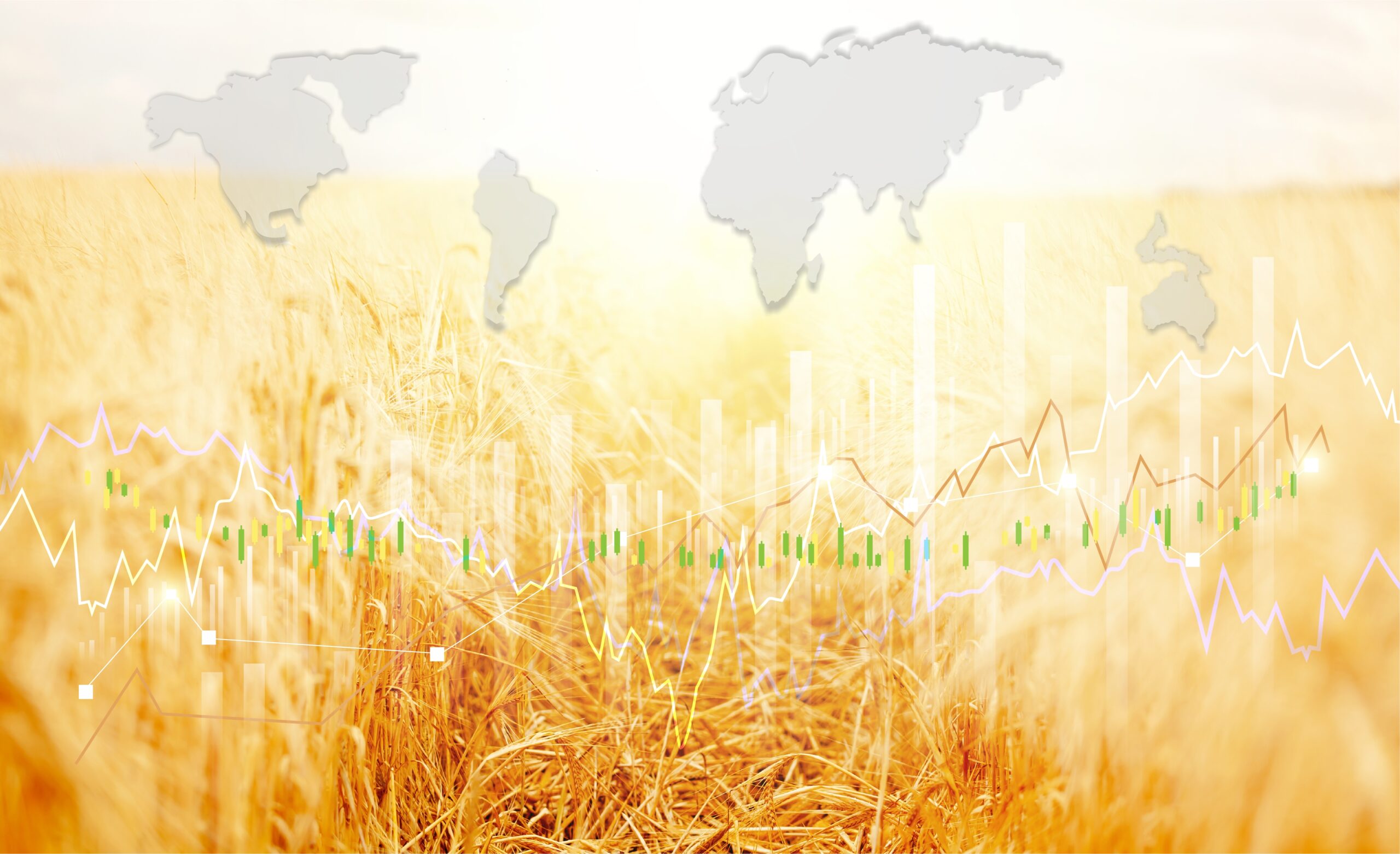 Consommation : Qu'est-ce que la heatflation?