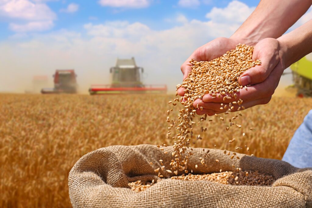 Transparence des filières agricoles et certification RSE pour les négociants de grain