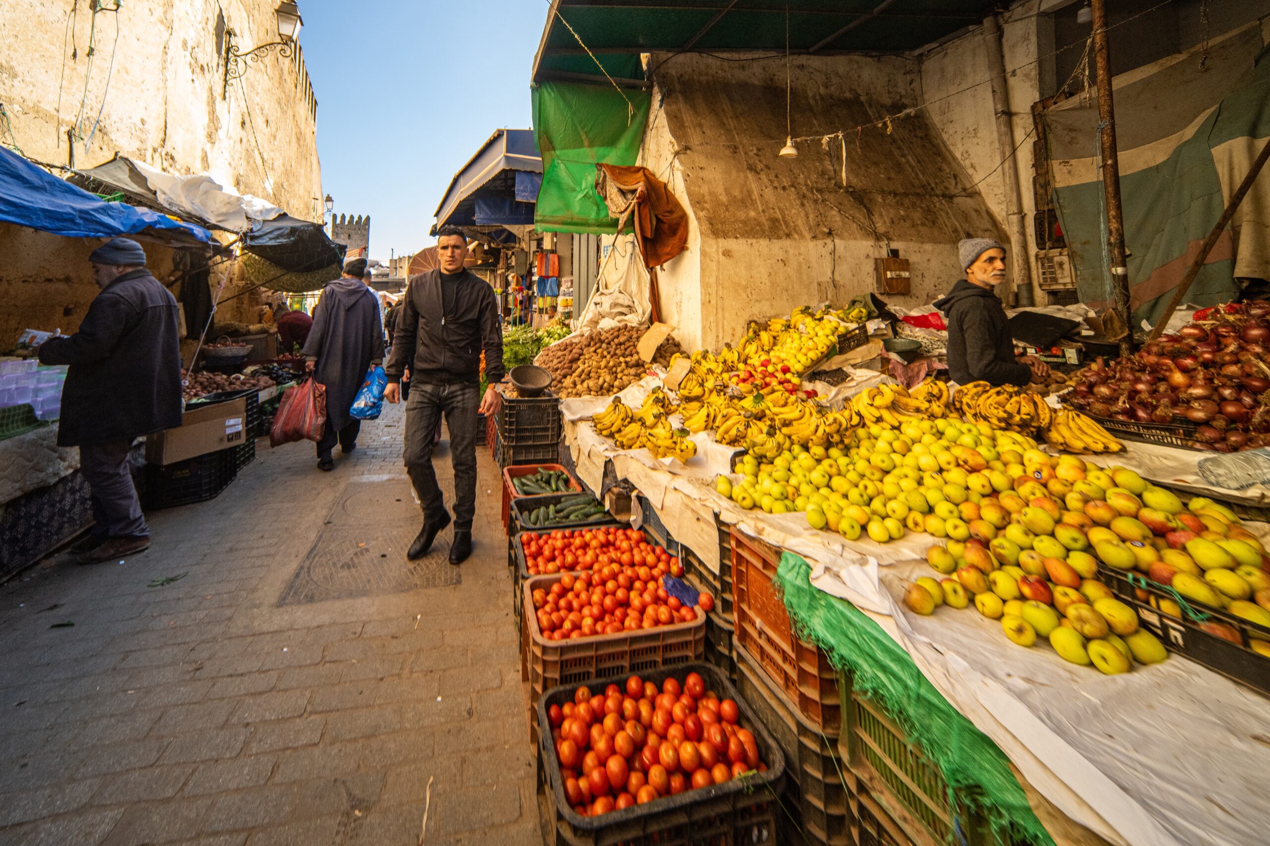 Marché de la tomate : comment le Maroc livre l'Europe