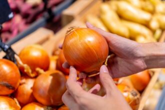 Analyse du marché de l'oignon à l'été 2026 : impact de la sécheresse sur les prix en Europe, explosion du fret américain et nouvelles dynamiques d'exportation.