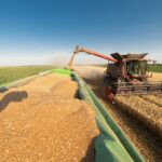 Découvrez l'empire des ABCD (Cargill, ADM, Bunge, LDC). Analyse de leur domination du grain et du défi de leur communication RSE.