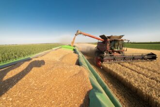 Découvrez l'empire des ABCD (Cargill, ADM, Bunge, LDC). Analyse de leur domination du grain et du défi de leur communication RSE.