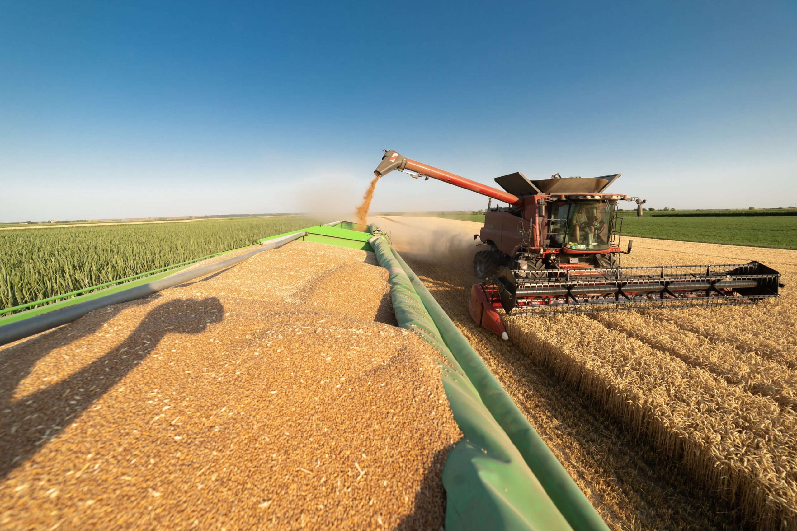 Découvrez l'empire des ABCD (Cargill, ADM, Bunge, LDC). Analyse de leur domination du grain et du défi de leur communication RSE.