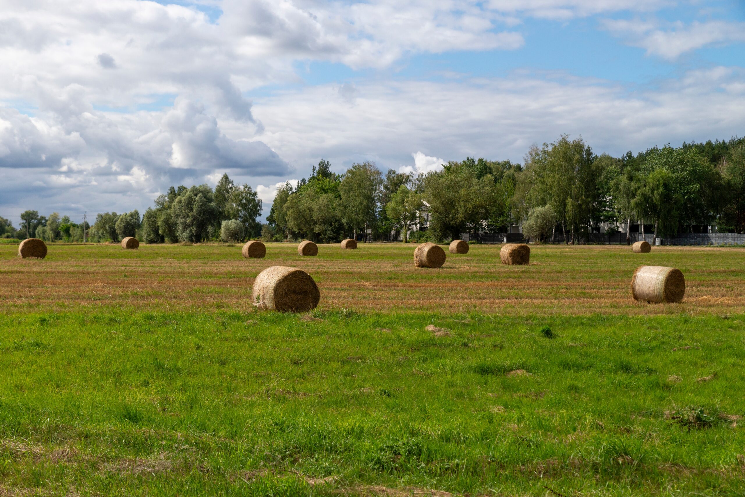 Agriculteurs sacrifiés : la trahison allemande