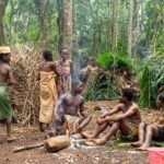 Babongos du Gabon : le crépuscule du peuple de l'ombre