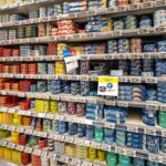 Rayons vides et krach halieutique : la sardine, révélateur de la fragilité de nos chaînes alimentaires