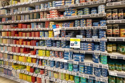 Rayons vides et krach halieutique : la sardine, révélateur de la fragilité de nos chaînes alimentaires