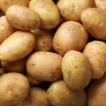Agriculture : la surproduction de pommes de terre menace l’équilibre des cours en France