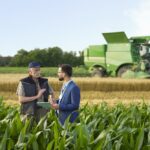 Soufre : le choc invisible qui menace l'agriculture et l'industrie minière mondiale