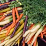 Comment la carotte orange a imposé sa loi sur le marché français