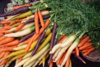 Comment la carotte orange a imposé sa loi sur le marché français